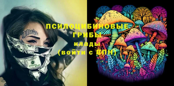 ешки Заводоуковск