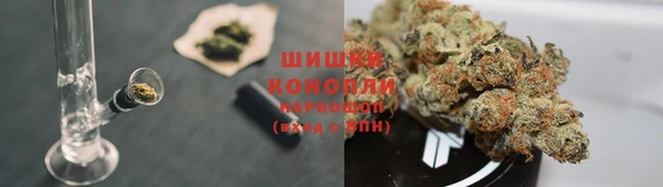 ешки Заводоуковск