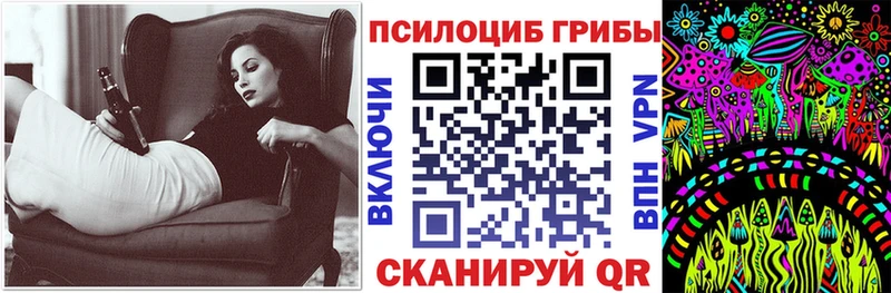 Купить где  Бежецк  Псилоцибиновые грибы Psilocybine cubensis 